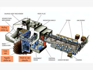 Thiết bị vận
chuyển
Nguồn
chiếu xạ
Lưu
trữ
Buồng
chiếu xạ
 
