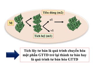 c1
v1
M
Tiêu dùng (m2)
Tích luỹ (m1)
Tích lũy tư bản là quá trình chuyển hóa
một phần GTTD trở lại thành tư bản hay
là quá trình tư bản hóa GTTD
 