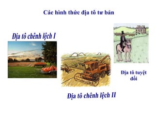 Các hình thức địa tô tư bản
Địa tô tuyệt
đối
 
