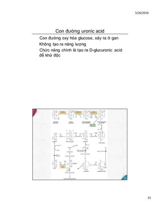 5/26/2018
33
Con đường uronic acid
Con đường oxy hóa glucose, xảy ra ở gan
Không tạo ra năng lượng
Chức năng chính là tạo ra D-glucuronic acid
để khử độc
 