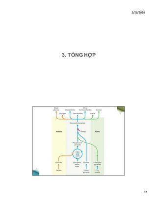 5/26/2018
37
3. TỔNG HỢP
 