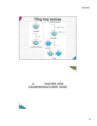 5/26/2018
45
4. CHUYẾN HÓA
CÁCMONOSACCARID KHÁC
 