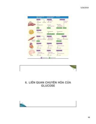 5/26/2018
48
6. LIÊN QUAN CHUYẾN HÓA CỦA
GLUCOSE
 