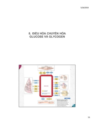5/26/2018
53
8. ĐIỀU HÒA CHUYẾN HÓA
GLUCOSE VÀ GLYCOGEN
 