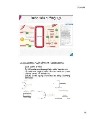 5/26/2018
59
Galactose
_ Blockin
Galactose- galactosemia
1-phosphate ■*—
Galactose-
1-phosphate
uridyl transferase
Glucose- 1-phosphate
* "
Glucose-1-phosphate
I Phosphoglucomutase I
Glucose-
6-phosphatase
Glucose-6-phosphate Glucose
I Bệnh galactose huyết bẩm sinh (Galactosemia)
Bệnh có tính di truyền
Do thiếu galactose-1-phosphate uridyl transferase
nên galactose không chuyển thành glucose ứ trong gan
gây suy gan có thể gây tử vong
Điều trị: cho trẻ ngưng sữa mẹ thay thế bằng sữa không
có lactose
I Galactokinase I
UDPGIc
UDPGal
Uridine
drphosphogalactose 4-
epimerase
Glycogen
I Phosphorylase I
 