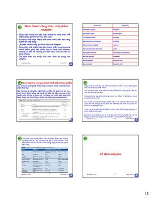 15
29/09/2011 11:21 SA Nguyễn Hữu Trí85
Hình thành công thức chế phẩm
enzyme
• Công việc mang tính bảo mật, thông tin công thức chế
phẩm được giữ kín bởi nhà sản xuất.
• Bí mật có thể được tiết lộ kèm theo nhiều điều kiện ràng
buột trên hợp đồng.
• Là bước chính trong qui trình sản xuất enzyme.
• Công thức chế phẩm bao gồm thành phần trong enzyme
thành phẩm giúp bảo quản, duy trì hoạt tính enzyme,
những chỉ dẫn và những qui định chặc chẽ về việc sử
dụng chúng.
• Qui định trên tùy thuộc vào mục đích sử dụng của
enzyme.
29/09/2011 11:21 SA Nguyễn Hữu Trí86
Rennet vi sinhMucor pusillus
Pectinases và proteasesAspergillus species
Rennet vi sinhMucor meihei
ProteasesBacillus species
LipaseSaccharomycopsis lipolytica
LactaseKluyveromyces fragilis
InvertaseSaccharomyces cerevisiea
CellulaseTrichoderma reesii
GlucamylaseAspergillus niger
AmylasesAspergillus oryzae
Ứng dụngVi sinh vật
29/09/2011 11:21 SA Nguyễn Hữu Trí87
Các enzyme và quá trình chế biến thực phẩm
Các enzyme không thể thiếu được trong kỹ thuật chế biến thực
phẩm hiện đại.
Các enzyme là một phần cần thiết của hầu hết quá trình lên men
thức ăn và thức uống, và trong khi hầu hết các enzyme sẽ có
nguồn gốc từ các vi sinh vật thì càng có nhiều các quá trình
đang được cải thiện bởi sự thêm vào các enzyme ngoại sinh
29/09/2011 11:21 SA Nguyễn Hữu Trí88
Ngày càng có nhiều sự sản xuất enzyme thực phẩm sử dụng công nghệ
sinh học tái tổ hợp DNA- rDNA
Việc sử dụng được chấp nhận của các enzyme bởi công nghệ rDNA thì
dựa vào các điều kiện sau:
• Enzyme được tạo ra bởi công nghệ sinh học rDNA thì giống với những
enzyme trong tự nhiên
• Sự chuẩn bị enzyme không bị nhiễm bất kỳ các chất độc nào mà có thể
được đưa vào trong suốt quá trình chế biến hay tinh sạch (Ví dụ các nội
độc tố từ Escherichia coli)
• Các vi sinh vật sống sót bắt nguồn từ công nghệ rDNA không hiện diện ở
bước chuẩn bị cuối cùng
Chymosin-men đông tụ sữa là ví dụ đầu tiên cho công nghệ mới này và
bây giờ nó được sử dụng vượt quá 80% thị trường ở Mỹ và Canada.
29/09/2011 11:21 SA Nguyễn Hữu Trí89
Sử dụng công nghệ rDNA Sự cải thiện được tăng cường
rõ ràng ở giá trị , sự tinh sạch và giá cả của enzyme  sẽ
đem lại lợi ích và cải thiện chất lượng thực phẩm cho người
tiêu dùng
29/09/2011 11:21 SA Nguyễn Hữu Trí90
Cố định enzyme
 