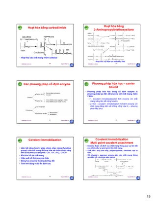 19
29/09/2011 11:21 SA Nguyễn Hữu Trí109
Hoạt hóa bằng carbodiimide
• Hoạt hóa các chất mang nhóm carboxyl
29/09/2011 11:21 SA Nguyễn Hữu Trí110
Hoaït hoùa vaät lieäu trô nhö thuûy tinh
Hoạt hóa bằng
3-Aminopropyltriethoxysilane
29/09/2011 11:21 SA Nguyễn Hữu Trí111
Các phương pháp cố định enzyme
29/09/2011 11:21 SA Nguyễn Hữu Trí112
Phương pháp hóa học – carrier
bound
• Phương pháp hóa học trong cố định enzyme là
phương pháp tạo liên kết enzyme với chất mang. Gồm
2 kiểu:
– 1. Covalent immobilization(Cố định enzyme với chất
mang bằng liên kết cộng hóa trị)
– 2. Non – covalent immobilization (Cố định enzyme với
chất mang bằng liên kết không cộng hóa trị – phương
pháp hấp phụ):
29/09/2011 11:21 SA Nguyễn Hữu Trí113
Covalent immobilization
• Liên kết cộng hóa trí giữa nhóm chức năng (functinal
group) của chất mang đã hoạt hóa và nhóm chức năng
trên acid amin của enzyme: -OH; -SH; -NH2; -COOH
• Khó thu hồi lại chất mang
• Hiệu suất cố định enzyme thấp
• Động học enzyme thường bị thay đổi
• Tính linh động và độ ổn định cao.
29/09/2011 11:21 SA Nguyễn Hữu Trí114
Covalent immobilization
Multi point covalent attachment
• Enzyme được cố định vào chất mang thông qua sự liên kết
của nhiều cấu tử acid amin lên chất mang.
• Chất nền: thủy tinh xốp, polyacrylamide, cellulose, hạt từ
tính…
• VD: glyoxyl – agarose: enzyme gắn vào chất mang thông
qua liên kết của vùng giàu lysine.
 
