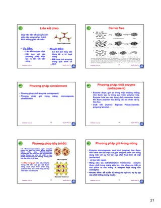 21
29/09/2011 11:21 SA Nguyễn Hữu Trí121
Liên kết chéo
• Ưu điểm:
– Liên kết enzyme chặt
– Kết hợp với các
phương pháp khác
tạo ra liên kết bền
vững
• Khuyết điểm:
– Có thể làm thay đổi
đáng kể vị trí hoạt
động
– Mất hoạt tính enzyme
trong quá trình cố
định
Dựa trên liên kết cộng hóa trị
giữa các enzyme tạo thành
khối không gian ba chiều.
29/09/2011 11:21 SA Nguyễn Hữu Trí122
Carrier free
29/09/2011 11:21 SA Nguyễn Hữu Trí123
Phương pháp containment
• Phương pháp nhốt enzyme (entrapment)
• Phương pháp giữ trong màng: microcapsule;
ultrafiltration
29/09/2011 11:21 SA Nguyễn Hữu Trí124
Phương pháp nhốt enzyme
(entrapment)
• Enzyme được giữ lại trong một khoảng không
nhỏ được tạo ra trong quá trình polymer hóa.
Enzyme hòa tan vào dung dich monomer trước
khi được polymer hóa bằng các tác nhân vật lý,
hóa học.
• Chất nền (matrix): Alginate Polyacrylamide;
polyvinyl alcohol…
29/09/2011 11:21 SA Nguyễn Hữu Trí125
Phương pháp bẫy (nhốt)
1.1 Microencapsulation (gói enzyme
trong các bao cực nhỏ). Màng polymer
thẩm thấu dày 200Ao(cellulose,
polysacarit, phi tinh bột) gói enzyme bên
trong. Màng này cho cơ chất và sản
phẩm enzyme đi qua nhưng không cho
các đại phân tử đi qua
1.2 Bẫy trong gel: việc bẫy enzyme
trong thể nền của gel đạt được
bằng cách thực hiện phản ứng
polymer hóa, tủa / làm đông với sự
hiện diện của enzyme.
29/09/2011 11:21 SA Nguyễn Hữu Trí126
Phương pháp giữ trong màng
• Enzyme microcapsule: quá trình polymer hóa được
tiến hành trên bề mặt của giọt enzyme phân tán trong
dung môi với sự hỗ trợ của chất hoạt tính bề mặt
(surfactant)
• vỏ bọc bên ngoài.
• Màng siêu lọc (Ultrafilatration membrane): enzyme
được nhốt trong màng siêu lọc, cho phép cơ chất và
sản phẩm ra vào màng  enzyme hoạt động cần
coenzyme.
• Nhược điểm: dễ bị tắc lỗ màng do bọt khí; sự tụ tập
các chất không mong muốn.
 