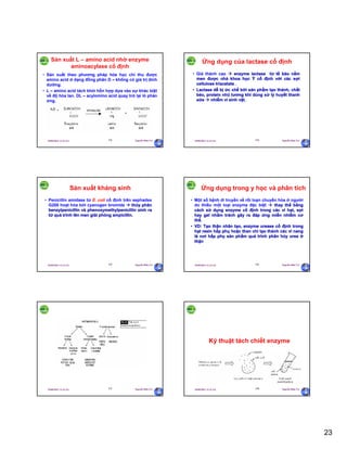 23
29/09/2011 11:21 SA Nguyễn Hữu Trí133
Sản xuất L – amino acid nhờ enzyme
aminoacylase cố định
• Sản xuất theo phương pháp hóa học chỉ thu được
amino acid ở dạng đồng phân D – không có giá trị dinh
dưỡng.
• L – amino acid tách khỏi hỗn hợp dựa vào sự khác biệt
về độ hòa tan. DL – acylomino acid quay trở lại lò phản
ứng.
29/09/2011 11:21 SA Nguyễn Hữu Trí134
Ứng dụng của lactase cố định
• Giá thành cao  enzyme lactase từ tế bào nấm
men được nhà khoa học Ý cố định với các sợi
cellulose triacetate .
• Lactase dễ bị ức chế bởi sản phẩm tạo thành, chất
béo, protein nhũ tương khi dùng xử lý huyết thanh
sữa  nhiễm vi sinh vật.
29/09/2011 11:21 SA Nguyễn Hữu Trí135
Sản xuất kháng sinh
• Penicillin amidase từ E. coli cố định trên sephadex
G200 hoạt hóa bởi cyanogen bromide  thủy phân
benzylpenicillin và phenoxymethylpenicillin sinh ra
từ quá trình lên men giải phóng ampicillin.
29/09/2011 11:21 SA Nguyễn Hữu Trí136
Ứng dụng trong y học và phân tích
• Một số bệnh di truyền về rối loạn chuyển hóa ở người
do thiếu một loại enzyme đặc biệt  thay thế bằng
cách sử dụng enzyme cố định trong các vi hạt, sợi
hay gel nhằm tránh gây ra đáp ứng miễn nhiễm cơ
thể.
• VD: Tạo thận nhân tạo, enzyme urease cố định trong
hạt resin hấp phụ hoặc than chì tạo thành các vi nang
là nơi hấp phụ sản phẩm quá trình phân hủy urea ở
thận
29/09/2011 11:21 SA Nguyễn Hữu Trí137 29/09/2011 11:21 SA Nguyễn Hữu Trí138
Kỹ thuật tách chiết enzyme
 