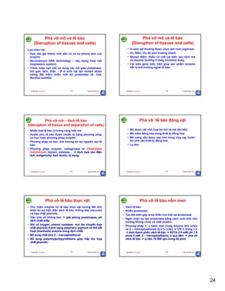 24
29/09/2011 11:21 SA Nguyễn Hữu Trí139
Phá vỡ mô và tế bào
(Disruption of tissues and cells)
Lựa chọn mô
• Dựa vào giá thành, tính sẵn có và sự phong phú của
enzyme
• Recombinant DNA technology – xây dựng host cell
(expression system)
• Tránh hoặc hạn chế sử dụng các mô giàu proteinase.
Vd: gan, lách, thận… Ở vi sinh vật tạo mutant strain
(dòng đột biến) thiếu một số proteinase (E. Coli,
Bacillus subtilis)
29/09/2011 11:21 SA Nguyễn Hữu Trí140
Phá vỡ mô và tế bào
(Disruption of tissues and cells)
• Vi sinh vật thường được chọn làm host organism
• Ưu điểm: tốc độ sinh trưởng nhanh
• Nhược điểm: thiếu cơ chế cải biên sau dịch mã
và enzyme thường ở dang inclusion body.
• Cải biên gene biểu hiện giúp sản phẩm enzyme
tiết ra môi trường ngoài tế bào.
29/09/2011 11:21 SA Nguyễn Hữu Trí141
Phá vỡ mô – tách tế bào
(disruption of tissue and separation of cells)
• Nhiều loại tế bào có trong cùng một mô.
• Huyền phù tế bào được chuẩn bị bằng phương pháp
cơ học hoặc phương pháp enzyme.
• Phương pháp cơ học: ảnh hương tới sự nguyên vẹn tế
bào.
• Phương pháp enzyme: collagenase từ Clostridium
histolyticum, trypsin, estalase…  tách dựa vào điện
tích, antigenicity, kịch thước, tỷ trọng.
29/09/2011 11:21 SA Nguyễn Hữu Trí142
Phá vỡ tế bào động vật
• Mô được cắt nhỏ (loại bỏ mỡ và mô liên kết)
• Mô mềm đồng hóa trong thiết bị đồng hóa
• Mô cứng cần được xay nhỏ trong máy xay trước
khi cho vào thiết bị đồng hóa.
• Ly tâm.
29/09/2011 11:21 SA Nguyễn Hữu Trí143
Phá vỡ tế bào thực vật
• Thu nhân enzyme từ tế bào thực vật tương đối khó
khăn do sự hiện diện vách tế bào, không bào (vacuole)
và hợp chất phenolic.
• Việc phá vỡ không bào  giải phóng proteinases, pH
dịch chiết thấp.
• Khi có oxygen, phenol oxidases xúc tác chuyển hợp
chất phenolic thành dạng polymeric pigment có thể bất
hoạt (inactivate) enzyme trong dịch chiết
• Bổ sung chất khử 2 – mercaptoethanol
• Bổ sung polyvinylpolypyrollidone giúp hấp thu hợp
chất phenolic.
29/09/2011 11:21 SA Nguyễn Hữu Trí144
Phá vỡ tế bào nấm men
• Vách tế bào
• Nhiều proteinase
• Tạo đột biến gây ra sự thiếu hụt một vài proteinase
• Ngăn chặn sự tạo proteinase bằng cách nuôi trên môi
trường không chứa cơ chất protein.
• Phương pháp 1: ủ bánh men trong toluene (6% (v/w))
và 2 – mercaptoethonol (0.2 % (v/w)) ở 370 C trong 1 h
 tách thành phần vách tế bào  EDTA (15 mM) pH 7.0
chứa 5 mM 2 – mercaptoethanol, ủ qua đêm  phá vỡ
vách tế bào  ly tâm 15 000 rpm trong 30 phút
 