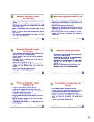 29
29/09/2011 11:21 SA Nguyễn Hữu Trí169
Protease thực vật – Papain
(E.C.3.4.4.10)
• Papain là một sulfhydryl protease tách được từ nhựa đu
đủ xanh.
• Quả xanh 10 tuần tuổi chứa nhiều nhựa nhất. Trong
nhựa, nhoài thành phần chính là papain (95%) còn chứa
một số protein khác.
• Papain là endoprotease gồm 185 amino acid. Mw: 20. 900
Da.
• Papain có cấu trúc không gian dạng hình cầu, gồm 2
nhân kỵ nước.
• Vùng trung tâm hoạt động papain: Lys – Asp – Glu – Gly
– Ser – Cys – Gly – Ser - Cys
29/09/2011 11:21 SA Nguyễn Hữu Trí170
Hoạt tính enzyme và cơ chế xúc tác
• Papain cần nhóm sulhydryl tự do để thể hiện hoạt tính.
• Papain thủy phân protein thành các polypeptide và các
amino acid.
• Papain có khả năng thủy phân sâu hơn.
• Papain có tính đặc hiệu rộng: thủy phân hầu hết liên
kết peptide trừ liên kết với proline và với các glutamic
có carboxyl tự do.
• Khả năng thủy phân tùy thuộc vào trạng thái cơ chất
• Papain còn có hoạt tính esterase, thiol esterase và
transferase.
29/09/2011 11:21 SA Nguyễn Hữu Trí171
Protease động vật – pepsin
(E.C.3.4.4.1)
• Pepsin là enzyme quan trọng có trong tuyến tiêu hóa
động vật, thuộc nhóm enzyme thủy phân
• Cấu trúc: pepsin có dạng hình cầu, cấu trúc bậc 4 gồm
bốn tiểu đơn vị.
• Một trong 3 liên kết S – S trong phân tử cần thiết cho
trung tâm hoạt động.
• Papain gồm 329 amino acid pI : pH 1.0
• Trung tâm hoạt động pepsin gồm một hoặc 2 nhóm
carboxyl của acid glutamic, một nhân thơm của
tyrosine.
• Pepsin có tính acid mạnh. Mw: 34. 500 Da
• Tiền enzyme của pepsin là pepsinogen.
29/09/2011 11:21 SA Nguyễn Hữu Trí172
Hoạt động xúc tác của pepsin
• Protease chỉ có khả phân cắt 15% liên kết peptide
trong protein  đoạn peptide
• Pepsin chỉ đặc hiệu cắt liên kết peptide giữa acid
amine nhân thơm với amino acid khác.
• Pepsin còn có khả năng cắt các nối peptide giữa
Leu –Val, Val – Cys, Glu – Asn, Leu – Glu ở mức
độ thấp hơn.
• Pepsin phân cắt dễ dàng protein tan trong nước.
• Pepsin bị ức chế bởi cơ chất dạng epoxide
29/09/2011 11:21 SA Nguyễn Hữu Trí173
Protease động vật – trypsin
(E.C.3.4.21.4)
• Trypsin có trong dịch tụy người và động vật.
• Trypsin là một protease kiềm tính hoạt động ở ruột.
• Tiền enzyme của trypsin là trypsinogen: hoạt hóa nhờ
enzyme đường ruột enterokinase.
• Mw: 22.680 – 23.400 Da gồm 249 amino acid.
• pH tối ưu: pH 8; pH thích hợp: 7.8 – 9.5, vẫn ổn định pH
thấp 3 – 5.
• Nhiệt độ hoạt động: nhiệt độ cơ thể và vẫn hoạt động
tốt trong khoản 30 – 400 C.
• Trypsin được hoạt hóa bởi: Ca, Co, Mn và bị ức chế
bởi: Cu, Ag, Hg.
29/09/2011 11:21 SA Nguyễn Hữu Trí174
Hoạt động và tính đặc hiệu của
trypsin
• Trung tâm hoạt động: -Gly-Asp-Ser-Gly-Pro-
• Trypsin cắt liên kết peptide giữa carboxyl của lysine,
arginine với nhóm amine của các amino acid khác.
• Trypsin tác dụng tốt hơn với protein bị biến tính
• Trypsin chỉ phân cắt được 1/3 liên kết peptide trong
phân tử protein, tạo các peptide nhỏ và các amino
acid.
• Trypsin còn khả năng thủy phân ester.
 