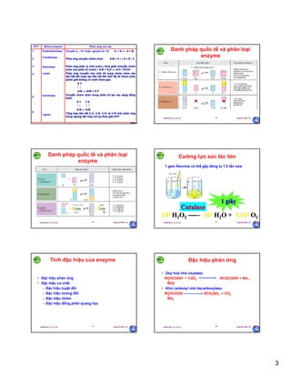 3
29/09/2011 11:21 SA Nguyễn Hữu Trí13
Chuyển e- , H+ hoặc nguyên tử H) A- + B  A + B-
Phản ứng chuyển nhóm chức A-B + C  A + B - C
Phản ứng phân ly nhờ nước ( thuỷ giải) (chuyển nhóm
chức cho phân tử nước) : A-B + H2O  A-H + B-OH
Phản ứng chuyển hóa nhờ bổ sung nhóm chức vào
liên kết đôi hoặc tạo liên kết đôi nhờ lấy đi nhóm chức
(phân giải không có nước tham gia)
X Y
 
A-B  A=B + X-Y
Chuyển nhóm chức trong phân tử tạo các dạng đồng
phân
X Y Y X
   
A-B  A-B
Tổng hợp liên kết C-C, C-S, C-O và C-N nhờ phản ứng
trùng ngưng liên hợp với sự thủy giải ATP.
Oxidoreductase
Transferase
Hydrolase
Lyase
Isomerase
Ligase
1
2
3
4
5
6
Phản ứng xúc tácNhóm enzymeSTT
29/09/2011 11:21 SA Nguyễn Hữu Trí14
Danh pháp quốc tế và phân loại
enzyme
29/09/2011 11:21 SA Nguyễn Hữu Trí15
Danh pháp quốc tế và phân loại
enzyme
29/09/2011 11:21 SA Nguyễn Hữu Trí16
Cường lực xúc tác lớn
1 gam Rennine có thể gây đông tụ 7,2 tấn sữa.
101055
HH22OO22 -------- 101055
HH22OO ++ 5.105.1044
OO22
FeFe3+3+
≈≈ 5.4 GIÔ5.4 GIÔØØ
CatalaseCatalase
11 giâygiây
29/09/2011 11:21 SA Nguyễn Hữu Trí17
Tính đặc hiệu của enzyme
• Đặc hiệu phản ứng
• Đặc hiệu cơ chất
– Đặc hiệu tuyệt đối
– Đặc hiệu tương đối
– Đặc hiệu nhóm
– Đặc hiệu đồng phân quang học
29/09/2011 11:21 SA Nguyễn Hữu Trí18
Đặc hiệu phản ứng
• Oxy hoá nhờ oxydase:
RCHCOOH + 1/2O2 RCOCOOH + NH3
NH2
• Khử carboxyl nhờ decarboxylase:
RCHCOOH RCH2NH2 + CO2
NH2
 