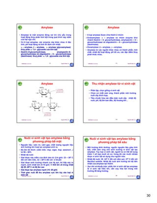 30
29/09/2011 11:21 SA Nguyễn Hữu Trí175
Amylase
• Amylase là một enzyme đóng vai trò chủ yếu trong
hoạt động thủy phân tinh bột trong quá trình nảy mầm
của hạt ngũ cốc.
• Có 6 loại amyalse, các enzyme này khác nhau ở đăc
tính, pH hoạt động và tính ổn định với nhiệt:
 – amylase,  – amylase, – amylase (glycoamylase):
thủy phân - 1,4 - glycoside của tinh bột.
• Dextrin–6-glucanhydrolase, amylopectin–6–
glucanhydrolase và oligodextrin – 6 – glucanhydrolase
(dextrinaxe): thuỷ phân - 1,6 - glycoside của tinh bột.
29/09/2011 11:21 SA Nguyễn Hữu Trí176
Amylase
• 6 loại amylase được chia thành 2 nhóm:
Endoamylase: α – amylase và nhóm enzyme khử
nhánh Dextrin – 6- glucanhydrolase, amylopectin – 6 –
glucanhydrolase và oligodextrin – 6 – glucanhydrolase
(dextrinaxe).
Exoamylase: β – amylase, γ – amylase.
• Amylase từ các nguồn khác nhau có thành phần, tính
chất, nhiệt độ hoạt động, pH tối ưu, các đặc điểm thủy
phân khác nhau.
29/09/2011 11:21 SA Nguyễn Hữu Trí177
Amylase
29/09/2011 11:21 SA Nguyễn Hữu Trí178
Thu nhận amylase từ vi sinh vật
• Phân lập, chọn giống vi sinh vật
• Chọn cơ chất cảm ứng, thành phần môi trường
nuôi cấy thích hợp.
• Tiêu chuẩn hóa các điều kiện nuôi cấy: nhiệt độ
nuôi, pH, độ ẩm ban đầu, độ thoáng khí…
29/09/2011 11:21 SA Nguyễn Hữu Trí179
Nuôi vi sinh vật tạo amylase bằng
phương pháp bề mặt
• Nguyên liệu: cám mì, cám gạo, chất lượng nguyên liệu
ảnh hưởng lớn hoạt lực amylase sinh ra.
• Độ ẩm tối thích: (nấm mốc: Asp. niger, Asp. awamort…)
từ 58 – 60%
• Nhiệt độ nuôi:
• Giai đoạn nảy mầm của đính bào tử (3-4 giờ): 23 – 300 C
đối với nấm mốc, 32 – 380 C đối với vi khuẩn
• Giai đoạn sinh trưởng nhanh của hệ sợi, hô hấp xảy ra
mạnh, sinh nhiệt lớn (4-18 giờ)  thổi khí vô trùng nhiệt
độ 28 -290 C và độ ẩm cao
• Giai đoạn tạo amylase mạnh (10 -20 giờ)
• Thời gian nuôi để thu amylase cực lớn tùy vào loại vi
sinh vật
29/09/2011 11:21 SA Nguyễn Hữu Trí180
Nuôi vi sinh vật tạo amylase bằng
phương pháp bề sâu
• Môi trường dinh dưỡng: nguồn nguyên liệu giàu tinh
bột, chất cảm ứng cho sinh trường vi sinh vật tạo
amylase. Tùy loại vi sinh vật, người ta có thể bổ sung
thêm 1 số loại muối vô cơ, trong đó các muối nitrate
được vi sinh vật sử dụng như nguồn nitơ.
• Nhiệt độ nuôi: 30 -320 C đối với nấm sợi; 370 C đối với
Bacillus subtilis. Nhiệt độ nuôi ảnh hưởng tới độ bền
nhiệt của amylase tạo thành.
• Sục khí và khuấy trộn: phần lớn vi sinh vật tạo amylase
là vi sinh vật hiếu khí, cần oxy hòa tan trong môi
trường để tăng trưởng.
 