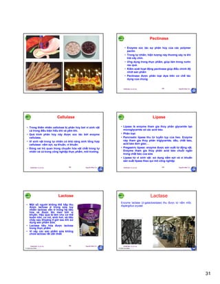 31
29/09/2011 11:21 SA Nguyễn Hữu Trí181 29/09/2011 11:21 SA Nguyễn Hữu Trí182
Pectinase
• Enzyme xúc tác sự phân hủy của các polymer
pectin.
• Trong tự nhiên, hiện tượng này thương xảy ra khi
trái cây chín.
• Ưng dụng trong thực phẩm, giúp làm trong nước
rau quả.
• Kiểm soát hoạt động pectinase giúp điều chỉnh độ
nhớt sản phẩm
• Pectinase được phân loại dựa trên cơ chế tác
dụng của chúng
29/09/2011 11:21 SA Nguyễn Hữu Trí183
Cellulase
• Trong thiên nhiên cellulose bị phân hủy bơi vi sinh vật
cả trong điều kiện hiếu khí và yếm khí.
• Quá trình phân hủy này được xúc tác bởi enzyme
cellulase.
• Vi sinh vật trong tự nhiên có khả năng sinh tổng hợp
cellulase: nấm sợi, xạ khuẩn, vi khuẩn.
• Đóng vai trò quan trong chuyển hóa vật chất trong tự
nhiên và cả trong công nghiệp thực phẩm, môi trường.
29/09/2011 11:21 SA Nguyễn Hữu Trí184
Lipase
• Lipase là enzyme tham gia thủy phân glyceride tạo
monoglyceride và các acid béo.
• Phân loại:
• Pancreatic lipase thu từ tuyến tụy của heo. Enzyme
này tham gia thủy phân triglyceride, dầu, chất béo,
acid béo đơn giản…
• Pregastric lipase: enzyme được sản xuất từ động vật.
Enzyme tham gia thủy phân acid béo chuỗi ngắn
trong chất béo của sữa
• Lipase từ vi sinh vật: sử dụng nấm sợi và vi khuẩn
sản xuất lipase theo qui mô công nghiệp
29/09/2011 11:21 SA Nguyễn Hữu Trí185
Lactose
• Một số người không thể hấp thu
được lactose ở trong sữa tuy
nhiên lactose vẫn ở trong hệ tiêu
hóa và được lên men bởi vi
khuẩn. Hậu quả là làm cho cơ thể
buồn nôn, co rút, sinh hơi, và tiêu
chảy sau khoảng 4 giờ sau khi sử
dụng sản phẩm sữa.
• Lactase tiêu hóa được lactose
trong thực phẩm
• Vì vậy các sản phẩm sữa không
chứa lactose rất cần thiết
© 2008 Paul Billiet ODWS
29/09/2011 11:21 SA Nguyễn Hữu Trí186
Lactase
Enzyme lactase (-galactosidase) thu được từ nấm mốc
Aspergillus oryzae
http://www.biologie.uni-regensburg.de/
http://biotech.nikkeibp.co.jp/MUSEUM/3.html
© 2008 Paul Billiet ODWS
 