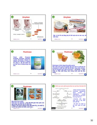 32
29/09/2011 11:21 SA Nguyễn Hữu Trí187
Amylase
29/09/2011 11:21 SA Nguyễn Hữu Trí188
Dệt: rủ bỏ hồ vải (tầng lớp hồ để mặt vải trở nên mịn, dễ
bắt màu)
Amylase
29/09/2011 11:21 SA Nguyễn Hữu Trí189
Thành phần Prozyme:
Protease, Amylase, Cellulase,
Lipase, Pectinase, Vitamin A,
Vitamin D3, Vitamin E, Vitamin
K3, Stay C…rất cần thiết cho
sự tiêu hóa và tăng trọng của
tôm.
Pectinase
29/09/2011 11:21 SA Nguyễn Hữu Trí190
Pectinase có khả năng thủy phân pectin.
Sản xuất nước quả từ nguyên liệu quả nhờ cơ chế phá vỡ
protopectin (chất làm liên kết tế bào), thủy phân protein,
phá vỡ nguyên sinh chất của tế bào  vỡ tế bào  nước
chảy ra, hiệu suất tăng. Làm trong nước quả ép (bia,
rượu)
Pectinase
29/09/2011 11:21 SA Nguyễn Hữu Trí191
Bảo quản thực phẩm :
Phối hợp với catalase  kéo dài thời gian bảo quản của
bột trứng, sữa khô, làm ổn định bia.
Chống rỉ các bao bì đựng nước giải khát CO2 ( do đuổi O2
ra khỏi sản phẩm khi thêm nước vào ).
Pectinase
29/09/2011 11:21 SA Nguyễn Hữu Trí192
Chiến lược sản xuất enzyme tẩy rửa của Novo Nordisk A/S
-Gene enzyme lipolase
Humicola lanuginosa
được chuyển vô
Aspergillus oryzae
thích hợp cho mục đích
thương mại hơn.
- Enzyme làm tăng
hiệu quả ở các điều
kiện giặt tẩy.
- Ổn định với nhiệt và
pH liên quan tới giặt
tẩy.
 