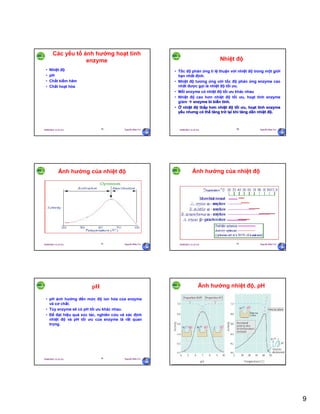 9
29/09/2011 11:21 SA Nguyễn Hữu Trí49
Các yếu tố ảnh hưởng hoạt tính
enzyme
• Nhiệt độ
• pH
• Chất kiềm hãm
• Chất hoạt hóa
29/09/2011 11:21 SA Nguyễn Hữu Trí50
Nhiệt độ
• Tốc độ phản ứng tỉ lệ thuận với nhiệt độ trong một giới
hạn nhất định.
• Nhiệt độ tương ứng với tốc độ phản ứng enzyme cao
nhất được gọi là nhiệt độ tối ưu.
• Mỗi enzyme có nhiệt độ tối ưu khác nhau
• Nhiệt độ cao hơn nhiệt độ tối ưu, hoạt tính enzyme
giảm  enzyme bi biến tính.
• Ở nhiệt độ thấp hơn nhiệt độ tối ưu, hoạt tính enzyme
yếu nhưng có thể tăng trở lại khi tăng dần nhiệt độ.
29/09/2011 11:21 SA Nguyễn Hữu Trí51
Ảnh hưởng của nhiệt độ
29/09/2011 11:21 SA Nguyễn Hữu Trí52
Ảnh hưởng của nhiệt độ
29/09/2011 11:21 SA Nguyễn Hữu Trí53
pH
• pH ảnh hưởng đến mức độ ion hóa của enzyme
và cơ chất.
• Tùy enzyme sẽ có pH tối ưu khác nhau.
• Để đạt hiệu quả xúc tác, nghiên cứu và xác định
nhiệt độ và pH tối ưu của enzyme là rất quan
trọng.
29/09/2011 11:21 SA Nguyễn Hữu Trí54
Ảnh hưởng nhiệt độ, pH
 