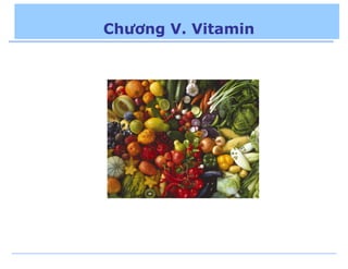 Chương V. Vitamin
 