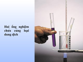 24
Hai ống nghiệm
chứa cùng loại
dung dịch
 