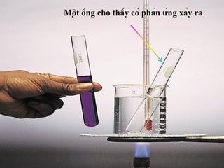 25
Một ống cho thấy có phản ứng xảy ra
 