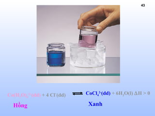43
Co(H2O)6
2+
(dd) + 4 Cl-
(dd) CoCl4
2-
(dd) + 6H2O(l) ∆H > 0
Hồng Xanh
 