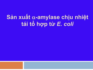 Sản xuất -amylase chịu nhiệt
tái tổ hợp từ E. coli
 