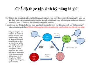 Chế độ thực tập sinh kỹ năng là gì?
Chế độ thực tập sinh kỹ năng là cơ chế những người trẻ tuổi ở các nước đang phát triển tu nghiệp kỹ năng sau
khi được nhận vào trong ngành công nghiệp sản xuất tại nước đó trong một thời gian nhất định, nhằm tu
nghiệp kỹ năng,kỹ thuật, tri thức của nước đang phát triển đó.
Mục đích của chế độ này là đào tạo nhân lực ghánh vác sự phát triển của đất nước mình sau khi học được kỹ
năng tại nước ngoài, là chế độ có thể đóng góp to lớn vào sự hợp tác và cống hiến cho thế giới của Nhật.
Nâng cao năng lực của
bản thân, để sau khi về
nước sẽ phát huy được
năng lực đã học được
tại Nhật, nhờ đó có thể
cống hiến vào sự sáng
tạo ngành công nghiệp
mới của đất nước mình.
Bên cạnh đó, dù là cơ
sở tiếp nhận ở Nhật
nhưng vẫn tăng cường
mối quan hệ nước ngoài
và kết nối và hoạt động
tích cực trong cơ sở,
đồng thời có thể kỳ
vọng vào tiềm năng của
nguồn nhân lực
Xí
nghiệp
tiếp
nhận
NĐ
quản lý
TTS
Hợp đồng
tiếp nhận
Hợp đồng
lao động
Hỗ trợ
lưu trú
Cty
phái cử
Bạch
Đằng
Hiệp định
chương trình
Hợp đồng công tác Nhật
 