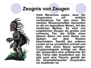 Zeugnis von Zeugen
    Viele Menschen sagen, dass der
     chupacabra         ein       wirklich
     vorhandenes Tier sein kann. Die
     meisten Wissenschaftler betrachten
     es als ein legendäres Wesen, Art des
     modernen Mythos. Es wird von
     angeblichen Zeugen als großes und
     schweres Tier, die Größe eines
     kleinen Bären mit einer Reihe von
     Spitzen      auf    dem      Rücken
     beschrieben. Gemäß den anderen
     Leuten ist es unnatürlich schnell und
     kann über einen Baum springen.
     Cryptozoologists schlägt vor, dass
     der chupacabra eine unbekannte Art
     des Tieres oder Ausländers war. Es
     gibt auch eine Theorie, gemäß der
     ein Haushaltshaustier chupacabra
     ein Ausländer ist.
 