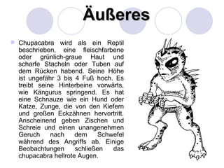 Äußeres
 Chupacabra wird als ein Reptil
  beschrieben, eine fleischfarbene
  oder grünlich-graue Haut und
  scharfe Stacheln oder Tuben auf
  dem Rücken habend. Seine Höhe
  ist ungefähr 3 bis 4 Fuß hoch. Es
  treibt seine Hinterbeine vorwärts,
  wie Kängurus springend. Es hat
  eine Schnauze wie ein Hund oder
  Katze, Zunge, die von den Kiefern
  und großen Eckzähnen hervortritt.
  Anscheinend geben Zischen und
  Schreie und einen unangenehmen
  Geruch     nach    dem     Schwefel
  während des Angriffs ab. Einige
  Beobachtungen      schließen   das
  chupacabra hellrote Augen.
 