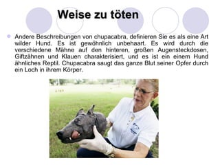 Weise zu töten
 Andere Beschreibungen von chupacabra, definieren Sie es als eine Art
  wilder Hund. Es ist gewöhnlich unbehaart. Es wird durch die
  verschiedene Mähne auf den hinteren, großen Augensteckdosen,
  Giftzähnen und Klauen charakterisiert, und es ist ein einem Hund
  ähnliches Reptil. Chupacabra saugt das ganze Blut seiner Opfer durch
  ein Loch in ihrem Körper.
 