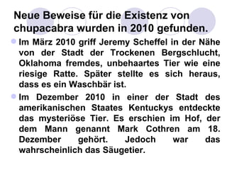 Neue Beweise für die Existenz von
chupacabra wurden in 2010 gefunden.
 Im März 2010 griff Jeremy Scheffel in der Nähe
  von der Stadt der Trockenen Bergschlucht,
  Oklahoma fremdes, unbehaartes Tier wie eine
  riesige Ratte. Später stellte es sich heraus,
  dass es ein Waschbär ist.
 Im Dezember 2010 in einer der Stadt des
  amerikanischen Staates Kentuckys entdeckte
  das mysteriöse Tier. Es erschien im Hof, der
  dem Mann genannt Mark Cothren am 18.
  Dezember      gehört.   Jedoch      war    das
  wahrscheinlich das Säugetier.
 