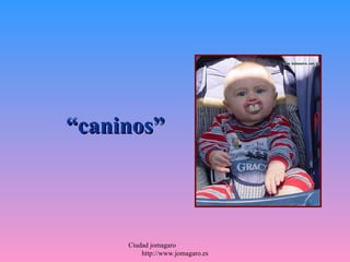 “caninos”



     Ciudad jomagaro
         http://www.jomagaro.es
 