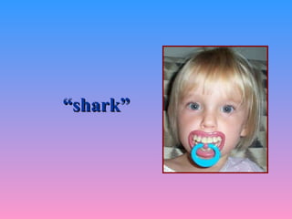 “ shark”   