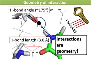 Geometry of interaction
H-bond angle (~175°)




H-bond length (3.0 Å)   Interactions
                        are
                        geometry!
 