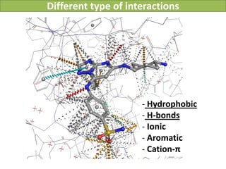 Different type of interactions




                     - Hydrophobic
                     - H-bonds
                     - Ionic
                     - Aromatic
                     - Cation-π
 