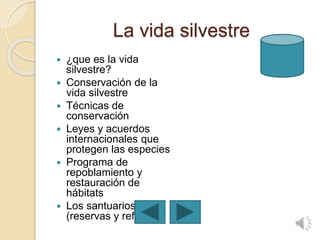 La vida silvestre
 ¿que es la vida
silvestre?
 Conservación de la
vida silvestre
 Técnicas de
conservación
 Leyes y acuerdos
internacionales que
protegen las especies
 Programa de
repoblamiento y
restauración de
hábitats
 Los santuarios
(reservas y refugios)
 