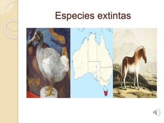 Especies extintas
 