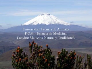 Universidad Técnica de Ambato.
     F.C.S. – Escuela de Medicina.
Cátedra: Medicina Natural y Tradicional.
 