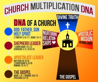 Church Multiplication DNA