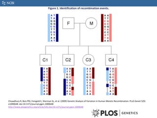 Figure 1. Identification of recombination events.
Chowdhury R, Bois PRJ, Feingold E, Sherman SL, et al. (2009) Genetic Analysis of Variation in Human Meiotic Recombination. PLoS Genet 5(9):
e1000648. doi:10.1371/journal.pgen.1000648
http://www.plosgenetics.org/article/info:doi/10.1371/journal.pgen.1000648
 