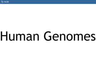 Human Genomes
 
