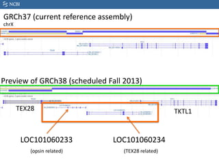 Preview of GRCh38 (scheduled Fall 2013)
TEX28 TKTL1
LOC101060233
(opsin related)
LOC101060234
(TEX28 related)
GRCh37 (current reference assembly)
chrX
 