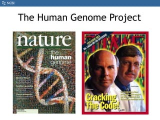 The Human Genome Project
 