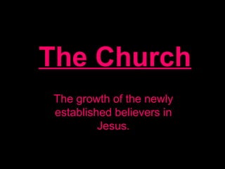The Church
The growth of the newly
established believers in
Jesus.