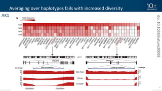12
Averaging	over	haplotypes	fails	with	increased	diversity
doi:10.1038/nature20098
AK1
 