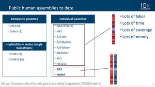 15
Public	human	assemblies	to	date
https://www.ncbi.nlm.nih.gov/assembly/organism/9606/latest/
Composite	genomes Individual	Genomes
Hydatidiform moles	(single	
haplotypes)	
• GRCh38
• Celera	(2)
• CHM1	(9)
• CHM13	(5)
• NA12878	(9)
• HX1	
• A/J	Son	
• A/J	Mother
• A/J	Father
• NA18507
• YH1
• HS1011
• AK1
• HuRef
•Lots	of	labor
•Lots	of	time
•Lots	of	coverage
•Lots	of	money
 