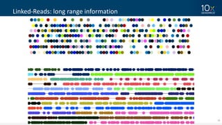 18
Linked-Reads:	long	range	information
 