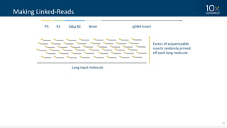 21
Making	Linked-Reads
Long	input	molecule
Excess	of	sequenceable
inserts	randomly	primed	
off	each	long	molecule
P5 16bp	BCR1 Nmer gDNA Insert
 