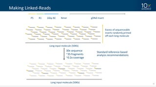 22
Making	Linked-Reads
Long	input	molecule	(50Kb)
Excess	of	sequenceable
inserts	randomly	primed	
off	each	long	molecule
P5 16bp	BCR1 Nmer gDNA Insert
Long	input	molecule	(50Kb)
30x	sequence
~35	fragments
~0.2x	coverage
Standard	reference	based
analysis	recommendations
 