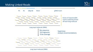 23
Making	Linked-Reads
Long	input	molecule	(50Kb)
Excess	of	sequenceable
inserts	randomly	primed	
off	each	long	molecule
P5 16bp	BCR1 Nmer gDNA Insert
Long	input	molecule	(50Kb)
56x	sequence
~65	fragments
~0.4x	coverage
Supernova
analysis	recommendations
 