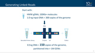 27
Generating	Linked-Reads
Start	with:
HMW	gDNA,	100Kb+	molecules
1.0	ng input	DNA	=	300	copies	of	the	genome
0.5ng	DNA	=	150 copies	of	the	genome,
partitioned	into	>	1M	GEMs
DNA	
OilBarcoded	Primer	Library Enzyme Collect
 